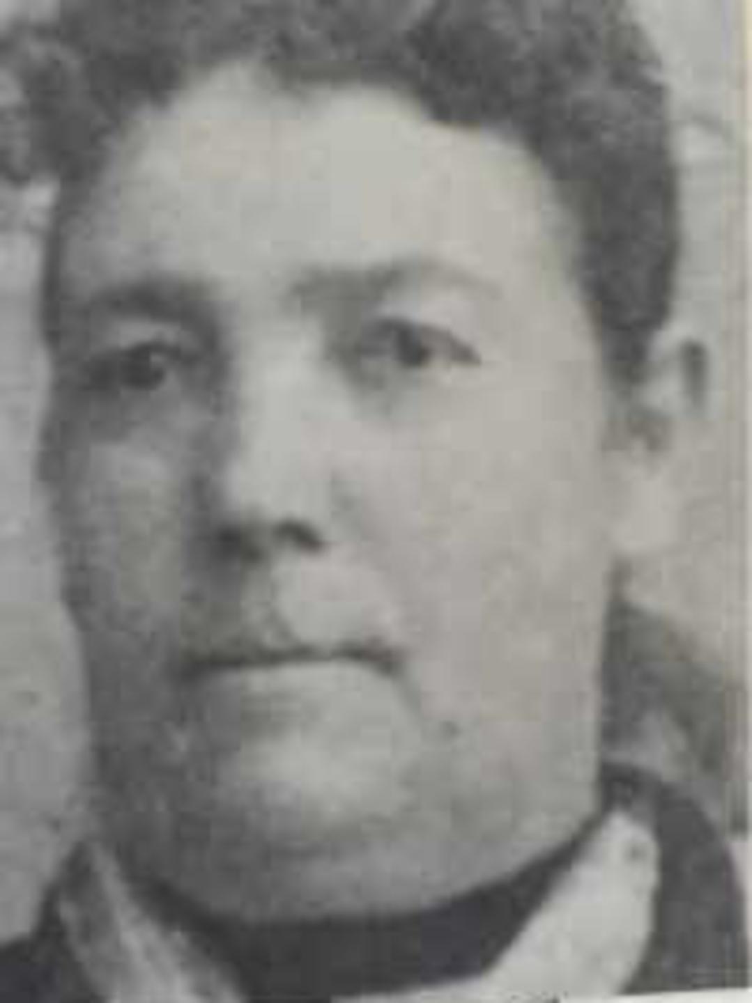 Juliaett Ann Phelps (1839 - 1919) Profile